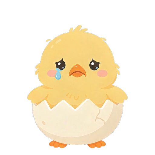鸡宝宝